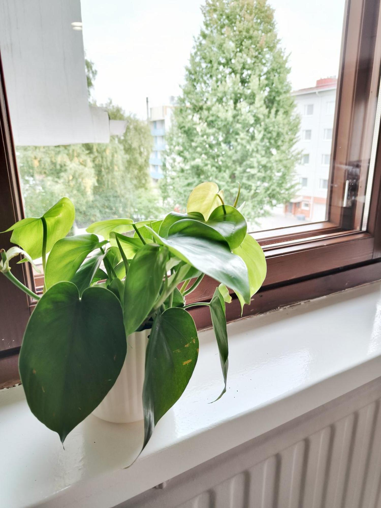 Tieva Lapland Apartment Rovaniemi Esterno foto